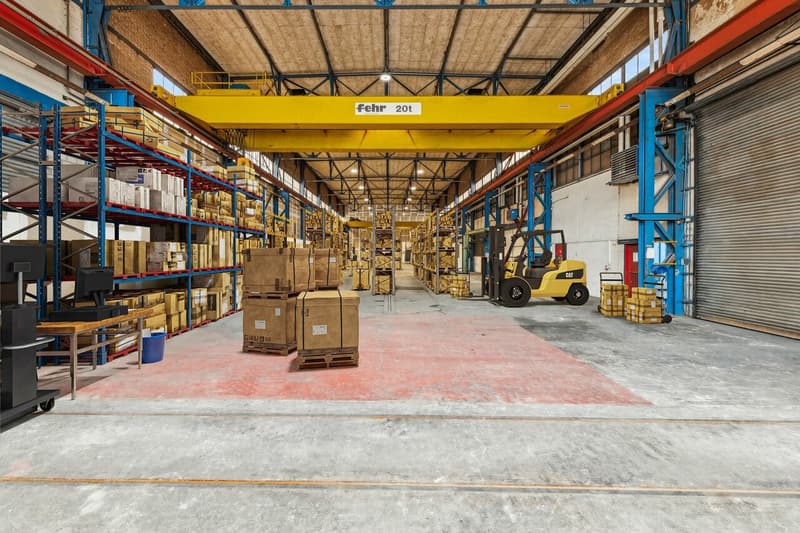 Grosszügige Industriehalle mit vielseitigen Nutzungsmöglichkeiten (6)