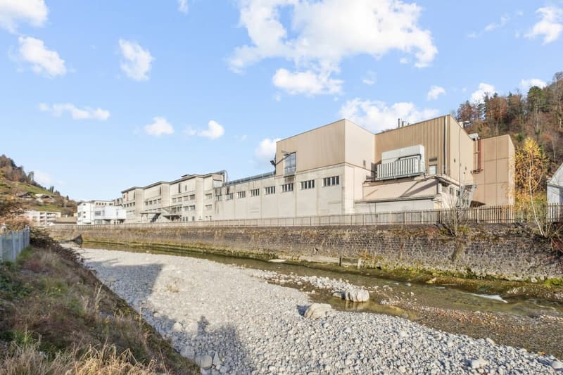Wolhusen-Market - Exclusive Commercial & Logistics Area - former "STEWO Area" (4)