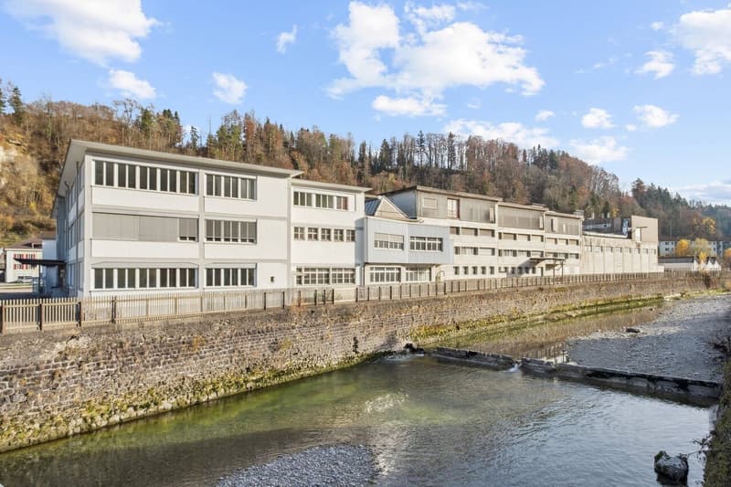 Wolhusen-Market - Exclusive Commercial & Logistics Area - former "STEWO Area" (3)