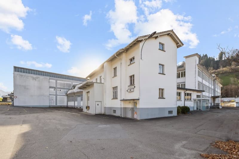 Wolhusen-Mercato - Area commerciale e logistica esclusiva - ex area "STEWO" (11)