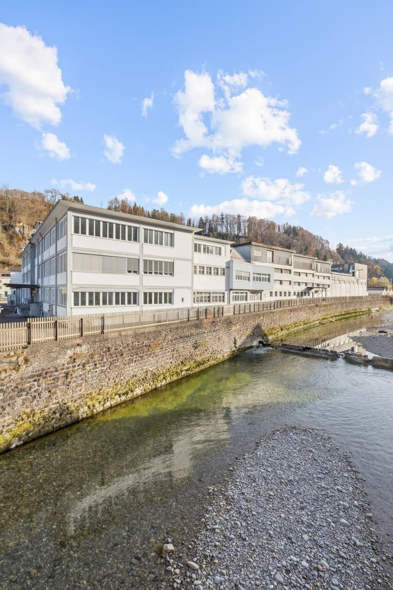 Wolhusen-Mercato - Area commerciale e logistica esclusiva - ex area "STEWO" (5)