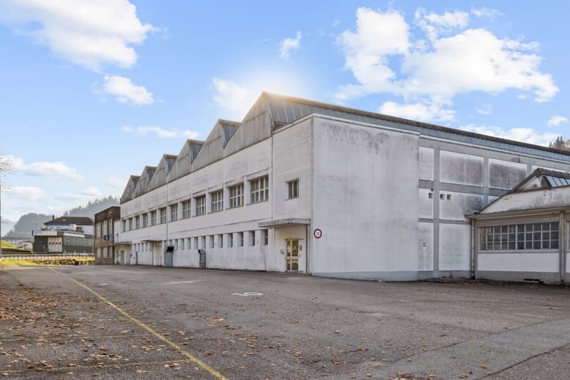 Wolhusen-Mercato - Area commerciale e logistica esclusiva - ex area "STEWO" (9)