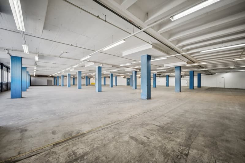 Il tuo nuovo sito logistico direttamente sulla A1 a Dietikon (7)