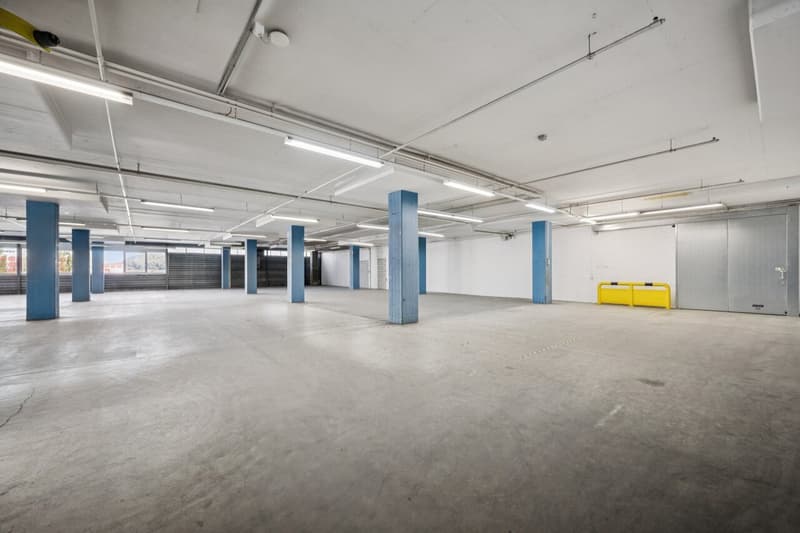 Il tuo nuovo sito logistico direttamente sulla A1 a Dietikon (10)