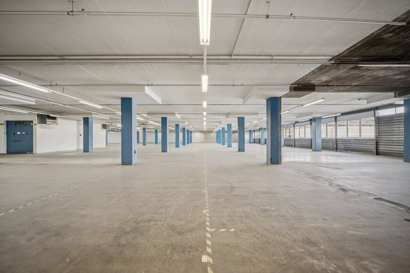 Il tuo nuovo sito logistico direttamente sulla A1 a Dietikon (6)