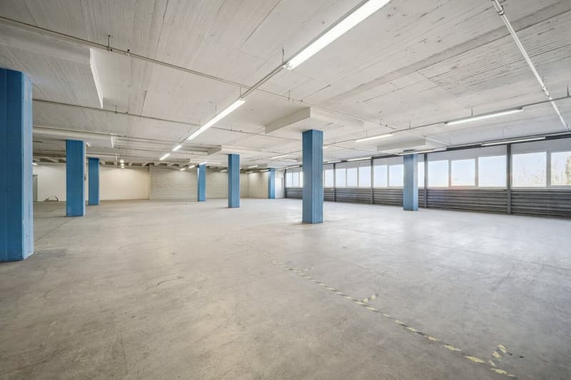 Il tuo nuovo sito logistico direttamente sulla A1 a Dietikon (2)