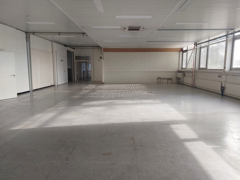Studio from 78 m² for rent - Warehouse / studio (4)