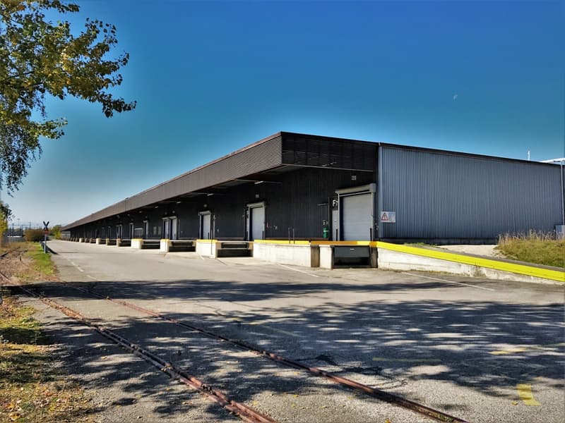 Posizione strategica - Magazzino logistico 27'715 m² (2)