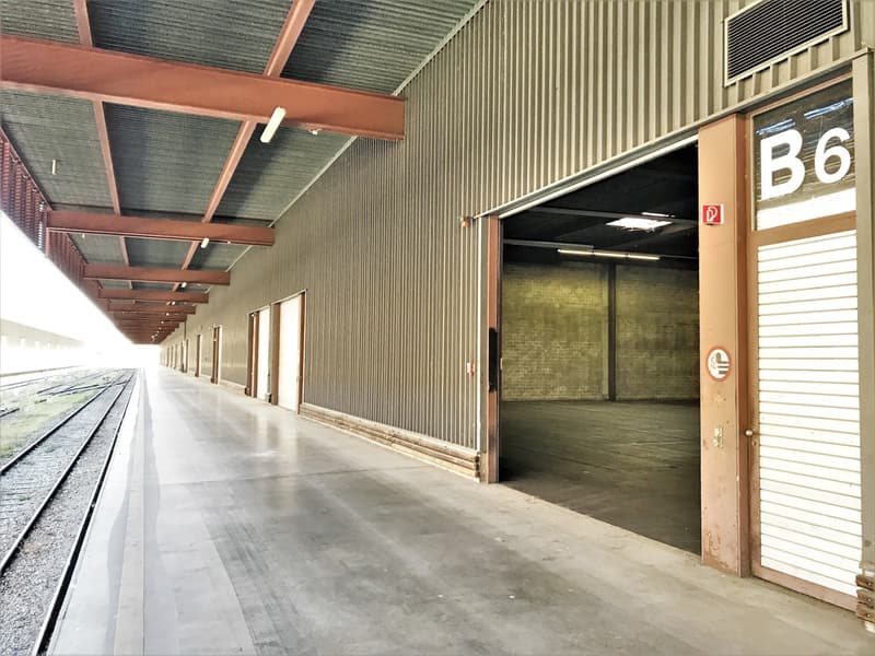 Posizione strategica - Magazzino logistico 27'715 m² (6)