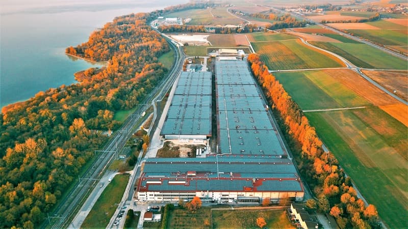Posizione strategica - Magazzino logistico 4'530m² (1)