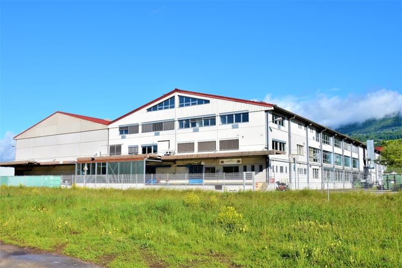 Posizione strategica - Magazzino logistico 4'530m² (3)