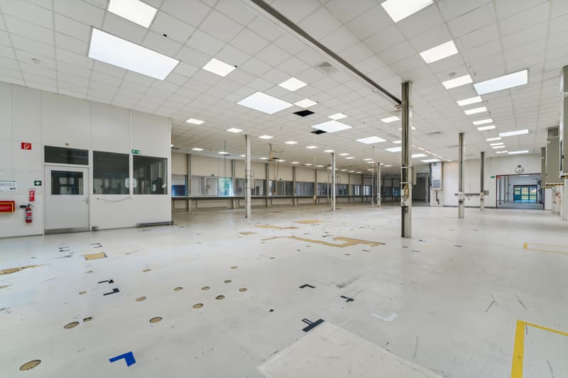 Atelier/box 345 m2 au rez - porte sectionnelle - hauteur 4m (1)
