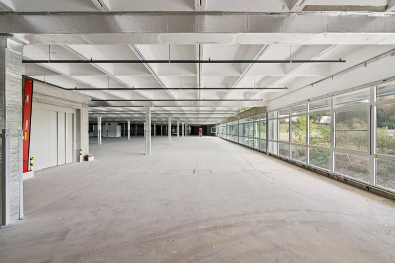 Atelier de 1000 m² à louer - Onnens (2)