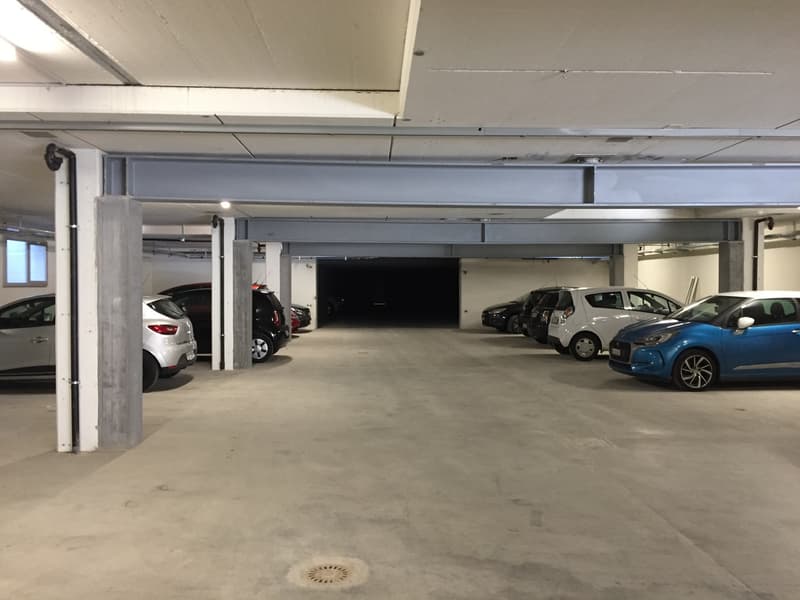 In der Nähe von Neuchâtel - Industriehalle von 1'500m2 (3)