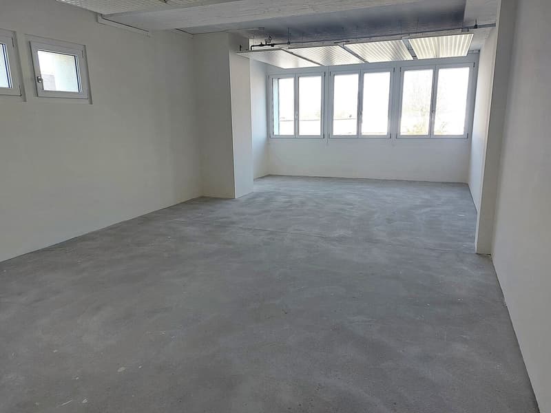 Flexibler Mietvertrag - Nähe zu allem - Büro 55m2 brut oder ausgebaut (2)