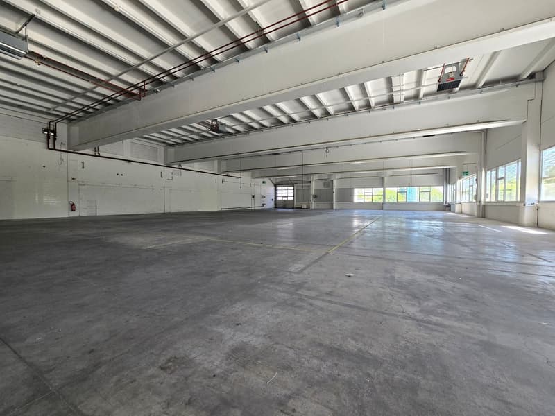 Capannone industriale/logistico di 1066m2² in affitto - Piano terra - accesso diretto - Boudry (3)