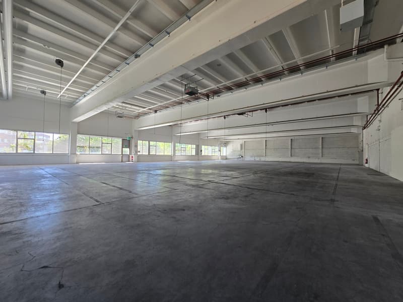 Capannone industriale/logistico di 1066m2² in affitto - Piano terra - accesso diretto - Boudry (2)