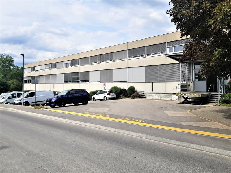 Studio from 1000 m² for rent - Warehouse / studio (2)