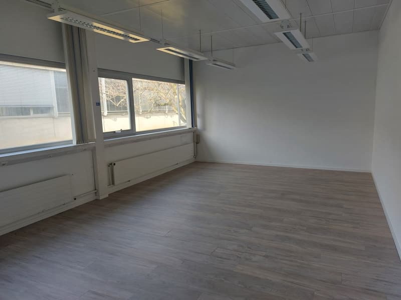 Studio from 1000 m² for rent - Warehouse / studio (7)