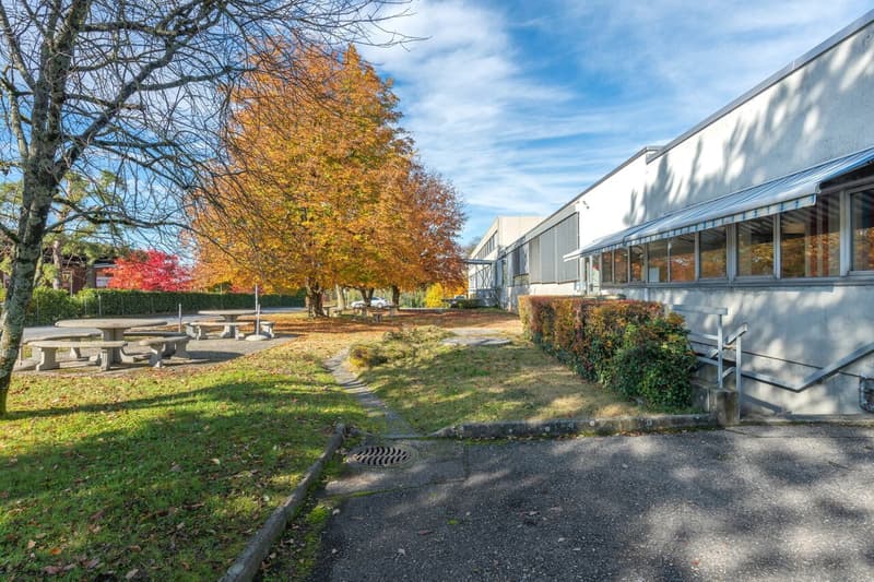 Werkstatt ab 500 m² zur Miete - 1. Etage - Lager/ Werkstatt (3)