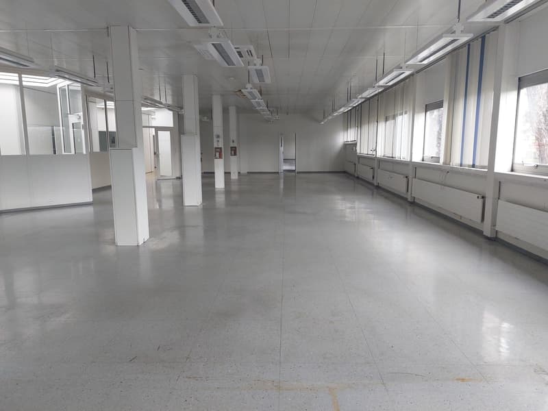 Studio from 500 m² for rent - Warehouse / studio (5)