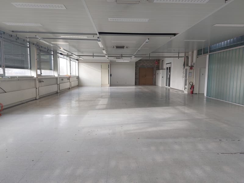 Studio from 500 m² for rent - Warehouse / studio (3)
