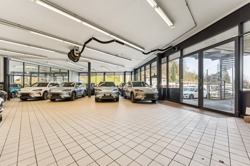 Verkaufsfläche/Showroom zum Vermieten! (5)