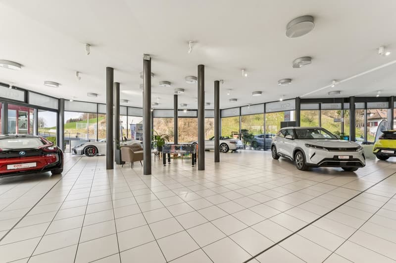 Verkaufsfläche/Showroom zum Vermieten! (1)