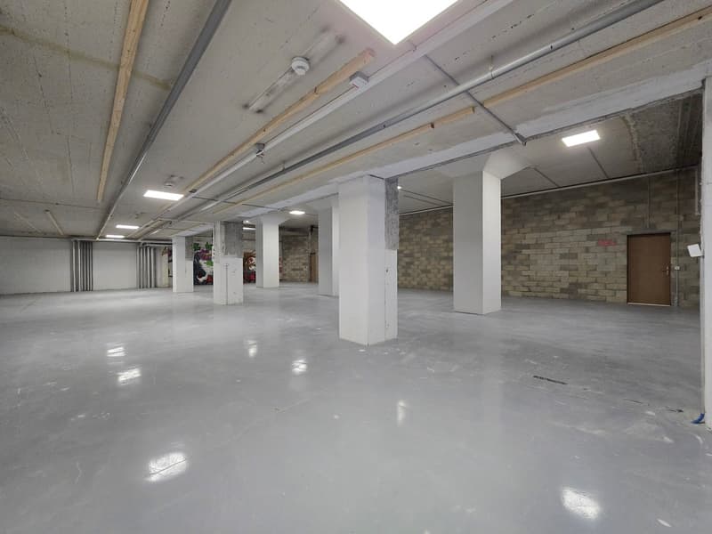 Großer Lagerbereich 295m2 - Exzellente Lage - Blécherette (4)