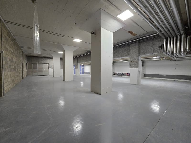 Großer Lagerbereich 295m2 - Exzellente Lage - Blécherette (2)