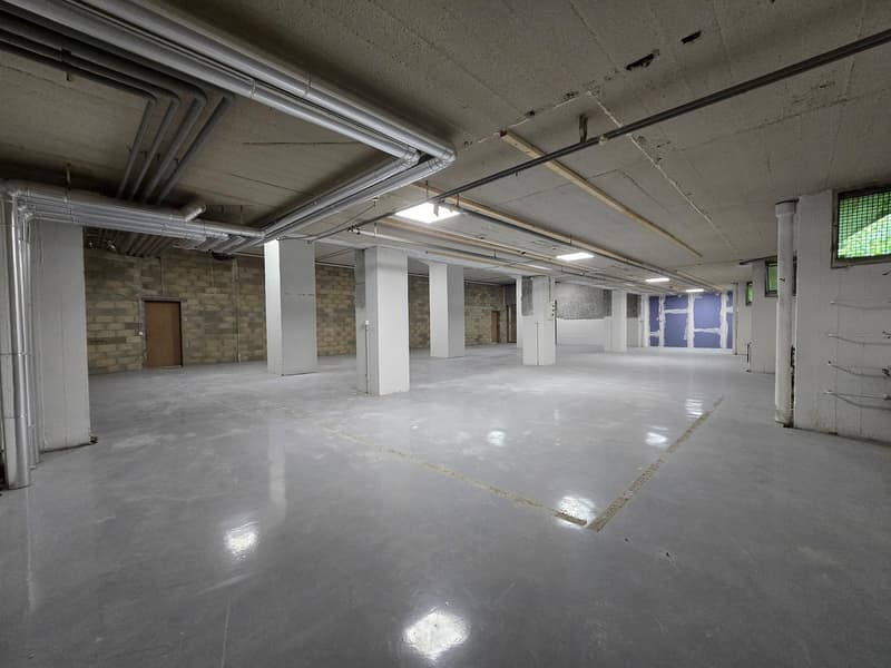 Großer Lagerbereich 295m2 - Exzellente Lage - Blécherette (5)