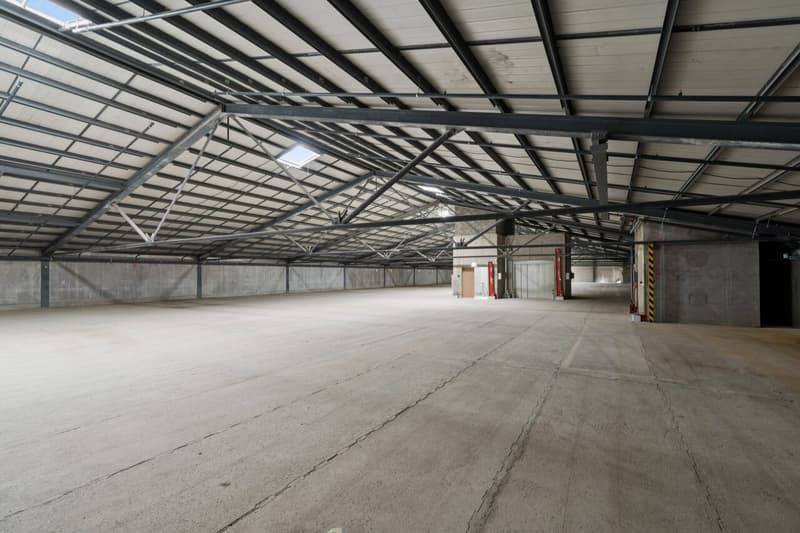 Dépôt de 1000 m² à louer - Onnens (4)