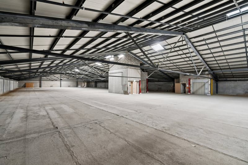 Dépôt de 1000 m² à louer - Onnens (6)