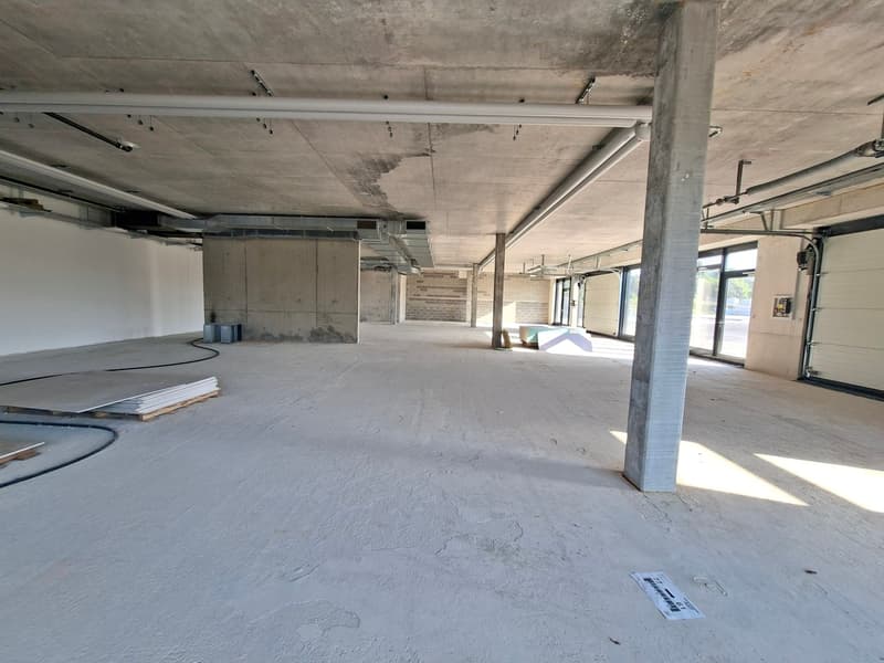 IDEAL PARK - Modernes Büros ab 200 m² zur Miete (5)