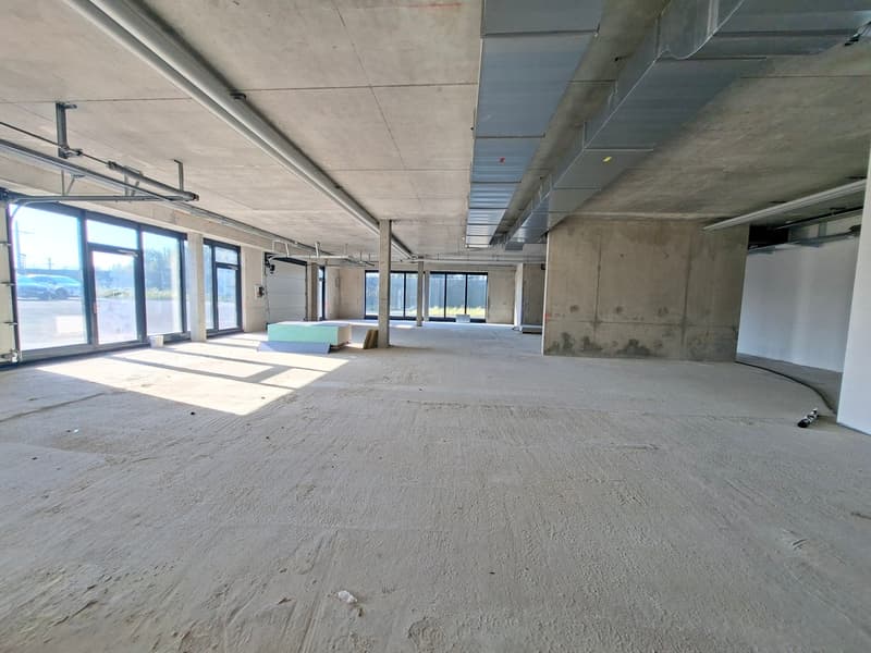 IDEAL PARK - Modernes Büros ab 200 m² zur Miete (8)