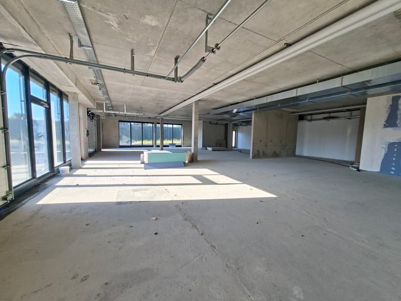 IDEAL PARK - Modernes Büro 451 m² zur Miete (7)