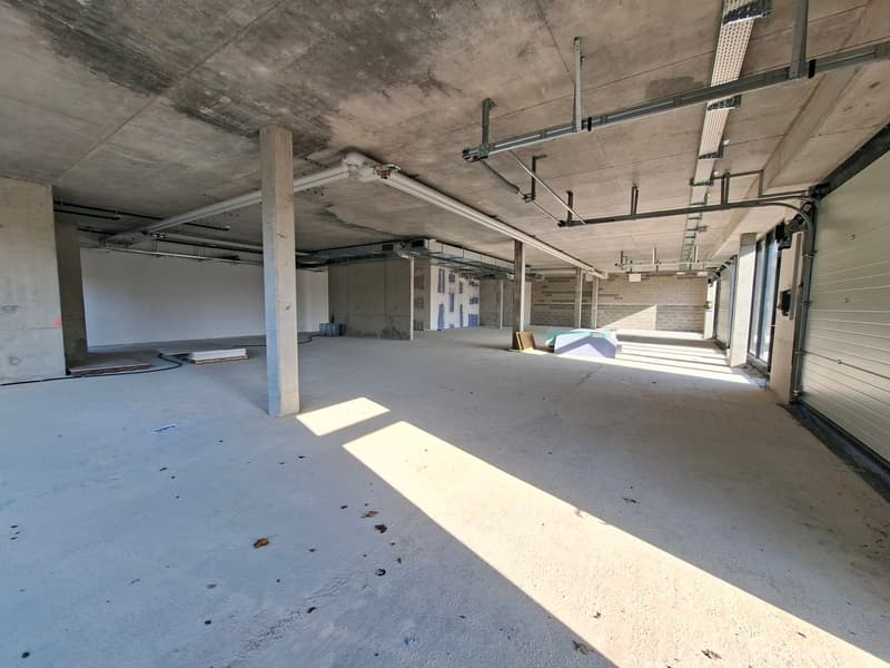IDEAL PARK - Modernes Büro 451 m² zur Miete (6)