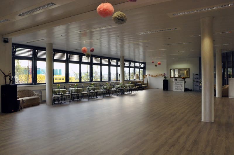 Polivalente & accogliente - Il tuo spazio commerciale a Oberglatt (5)