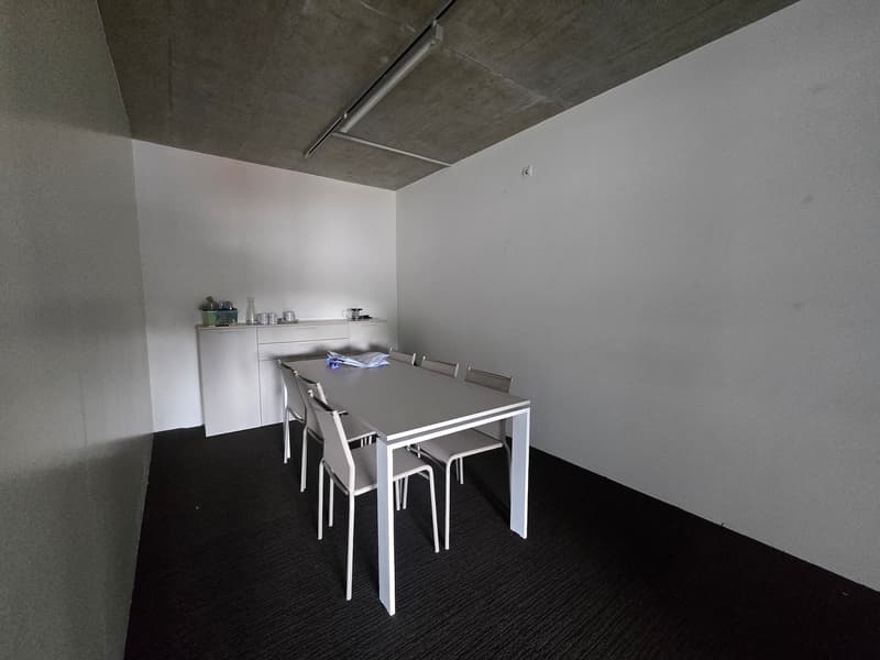 Ufficio 135m2 - Mont-sur-Lausanne (9)