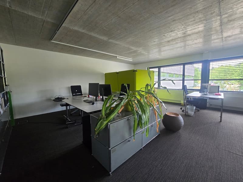 Ufficio 135m2 - Mont-sur-Lausanne (6)