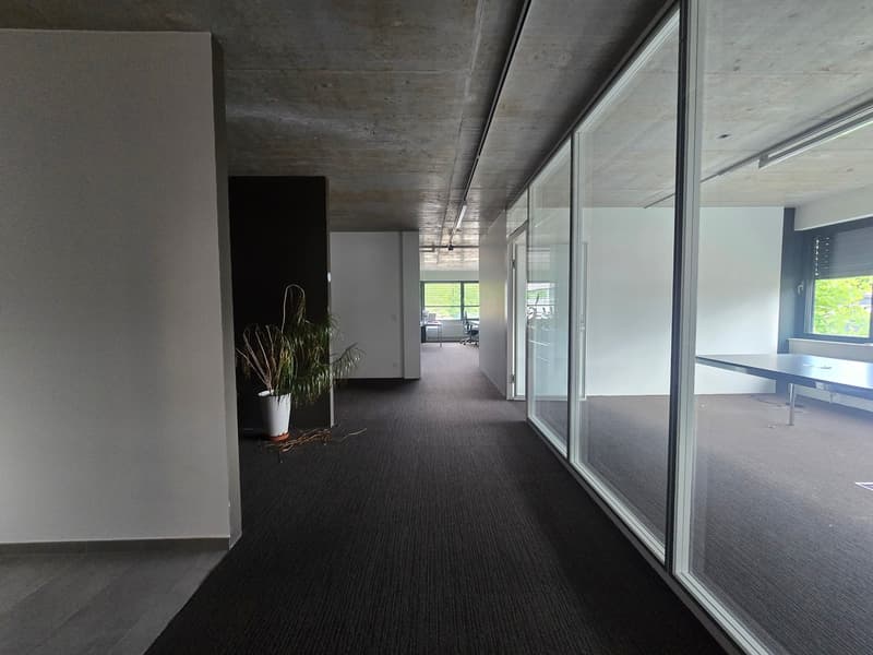 Ufficio 135m2 - Mont-sur-Lausanne (3)