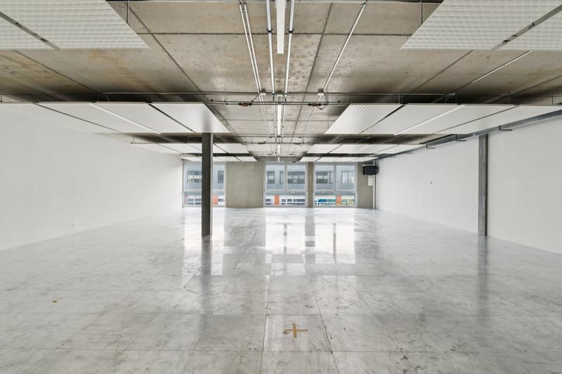 SPARK - 189.2 m2 - Plug & Play Workshop in Gland (3)