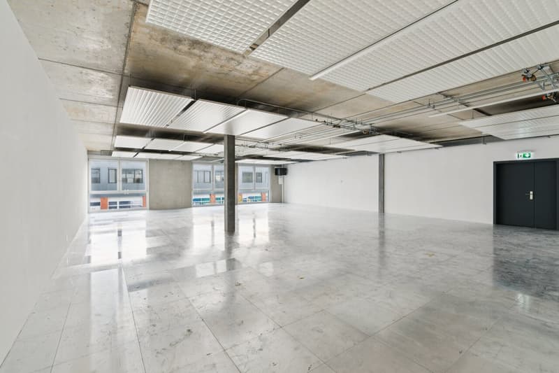 SPARK - 189.2 m2 - Plug & Play Workshop in Gland (5)