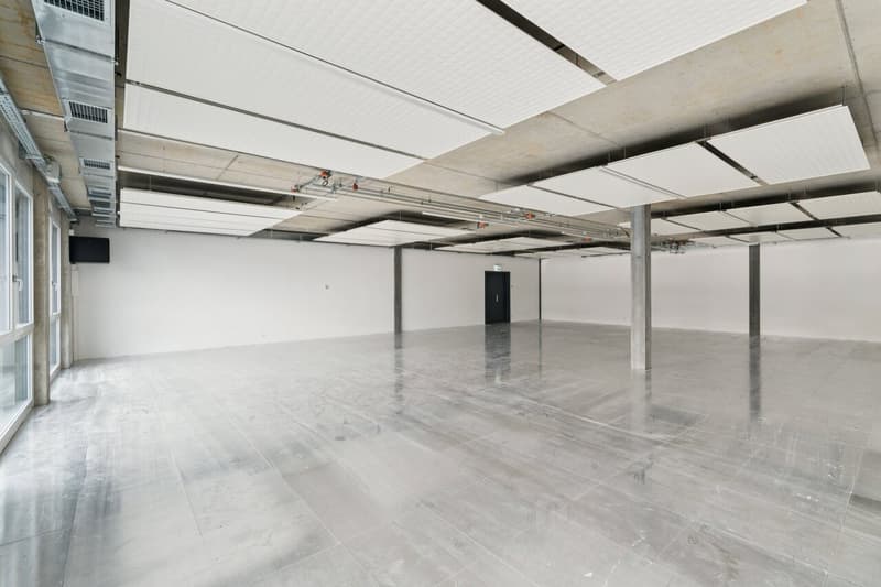 SPARK - 189.2 m2 - Plug & Play Workshop in Gland (4)