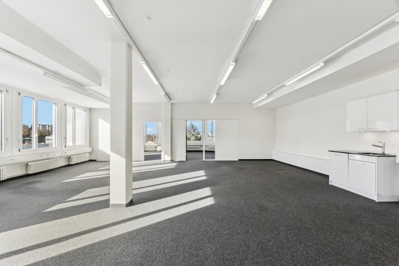Central, pratique, et polyvalent ! (3)