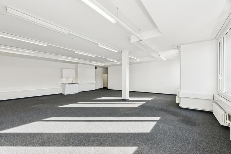 Central, pratique, et polyvalent ! (9)