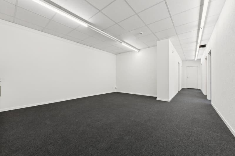Gewerbefläche oder Atelier mit Büro- und Produktionsteil (5)