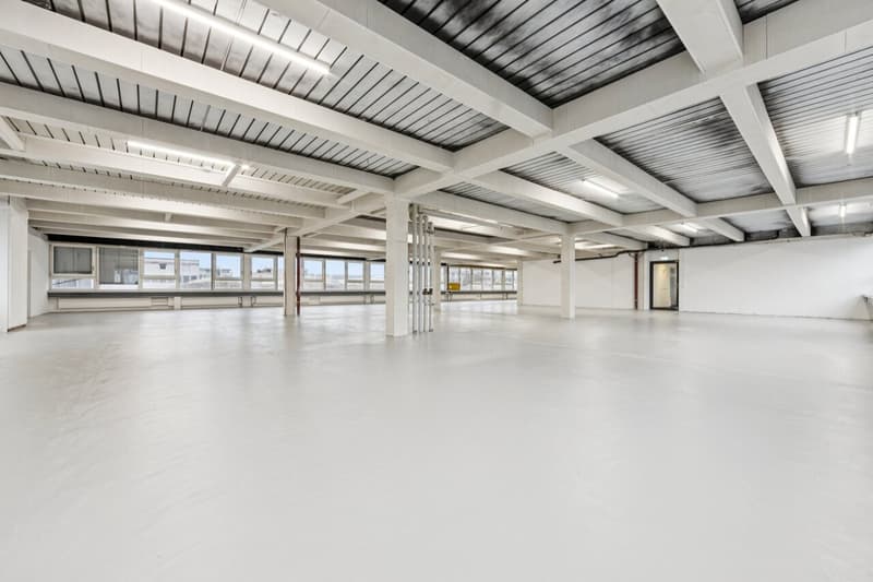 Gewerbefläche oder Atelier mit Büro- und Produktionsteil (8)
