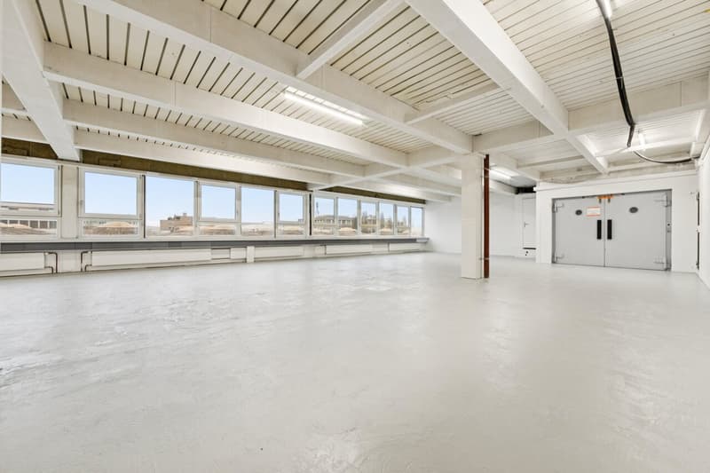 Gewerbefläche oder Atelier mit Büro- und Produktionsteil (2)