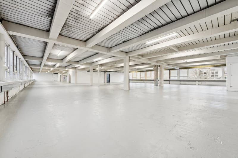 Gewerbefläche oder Atelier mit Büro- und Produktionsteil (3)